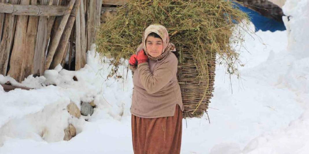 Adına kitaplar yazıldı, belgeseller çekildi: Karla kaplı güzelliği dillere destan oldu! 6
